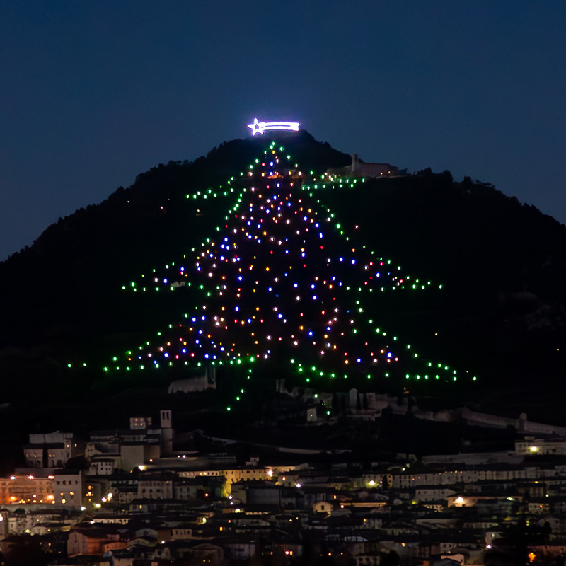 Albero di Natale